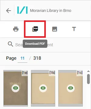 PDF icon