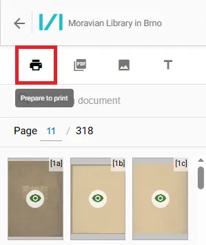 Print icon