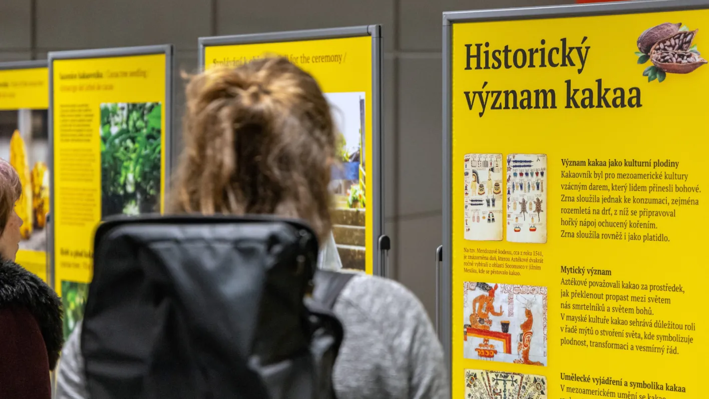 V Zahraničních knihovnách V Zahraničních knihovnách