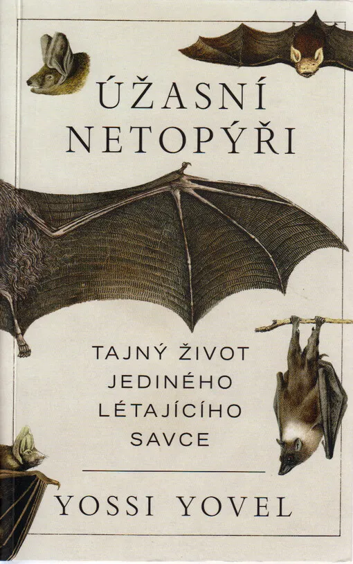 Úžasní netopýři : tajný život jediného létajícího savce