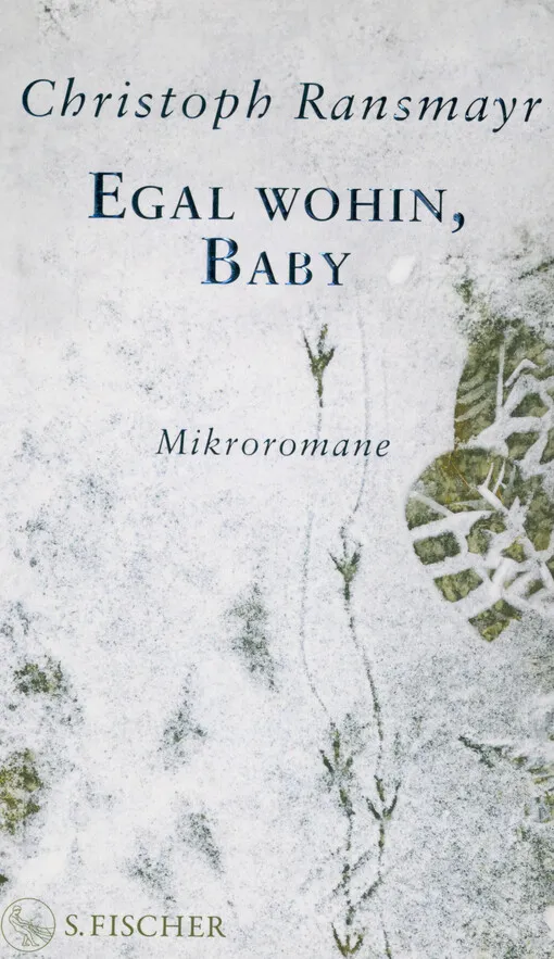 Christoph Ransmayr - Egal wohin, Baby : Mikroromane