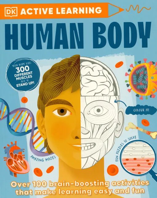 001865671_Human body
