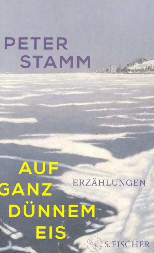 Peter Stamm - Auf ganz dünnem Eis : Erzählungen