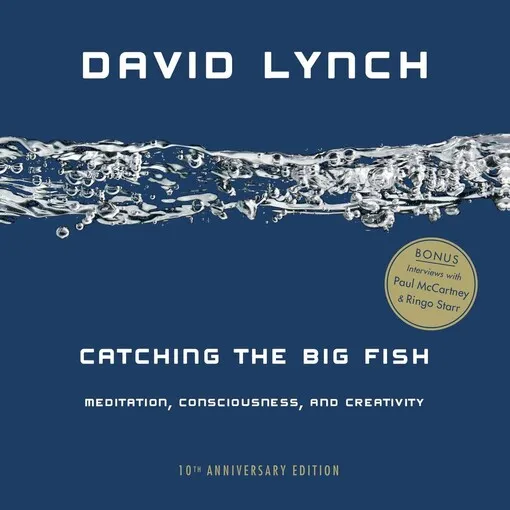 David Lynch - Catching the big fish : meditation, consciousness, and creativity