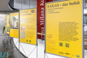 Kakao - dar bohů - fotky z výstavy 1