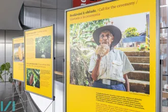 Kakao - dar bohů - fotky z výstavy 3