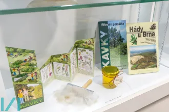 korvasová výstava