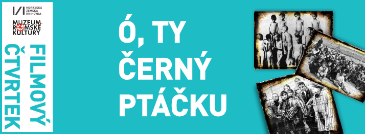 Ó ty černý ptáčku